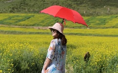 日本一本道手机在线dvd